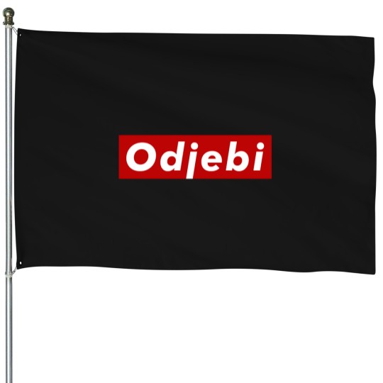 Discover Odjebi majica House Flags