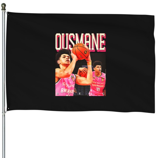 Discover Ousmane Dieng House Flags