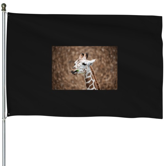 Discover Giraffe Eating Grass T-Shirt House Flags