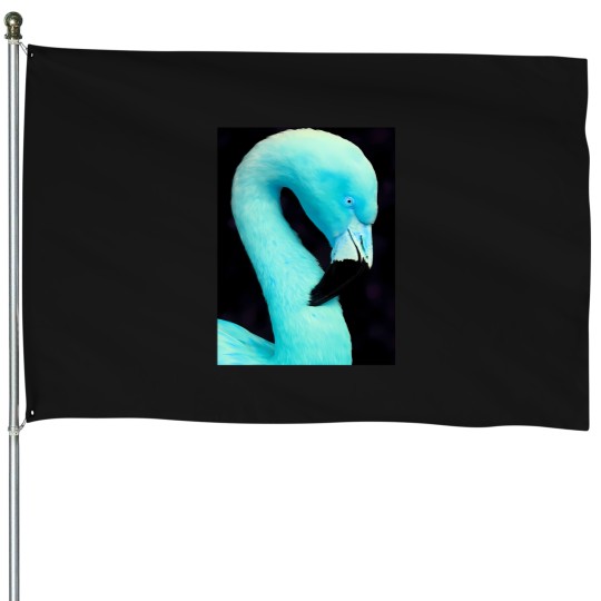 Discover Feathers Mcgraw 726 House Flags