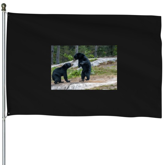 Discover Never back down House Flags
