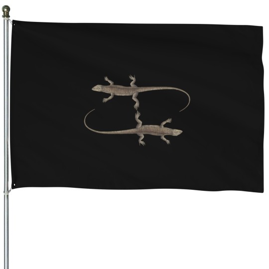 Discover Two Salamander 2800 House Flags