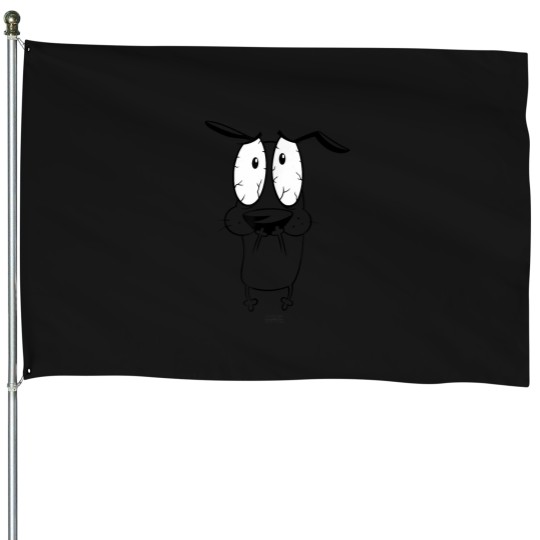 Discover Scared House Flags