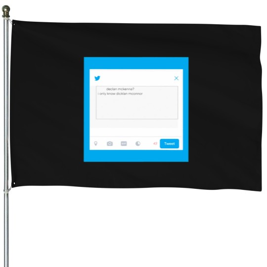 Discover Declan McKenna tweet House Flags