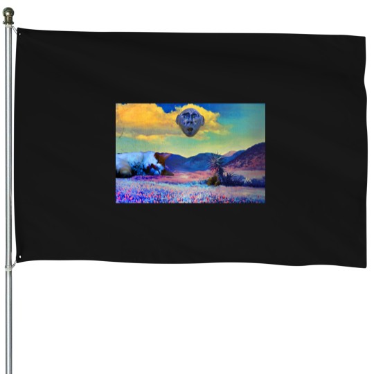Discover Still Woozy 1 House Flags