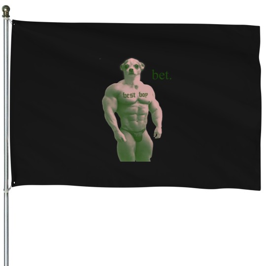 Discover Bet. 4280 House Flags