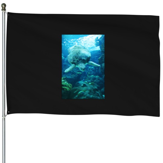 Discover Descending Sea Turtle Sticker 2442 House Flags
