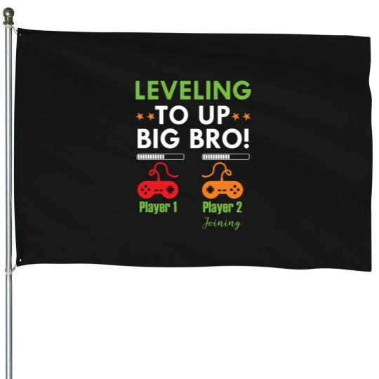 Discover I Leveled Up To Big Bro  - Promoted To Big Brother House Flags