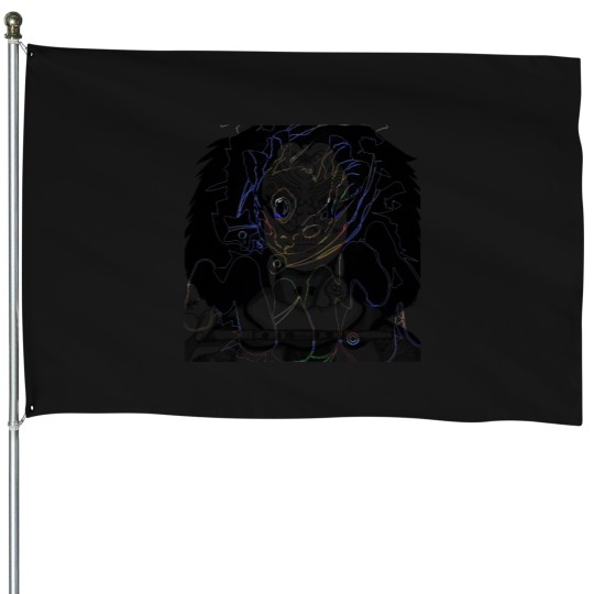 Discover Arca s House Flags