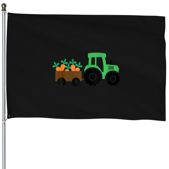 Discover Holiday Costume House Flags