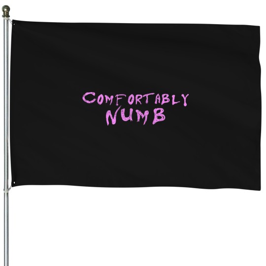 Discover Is-There-Anyone-Home-T-Shirt House Flags