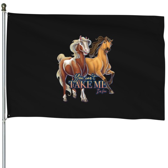 Discover Spirit - You Can_t Take Me House Flags