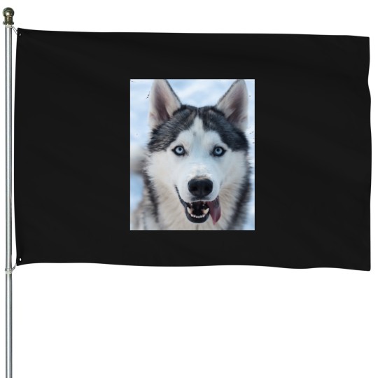 Discover funnys Looking Siberian Husky dogs Classic House Flags