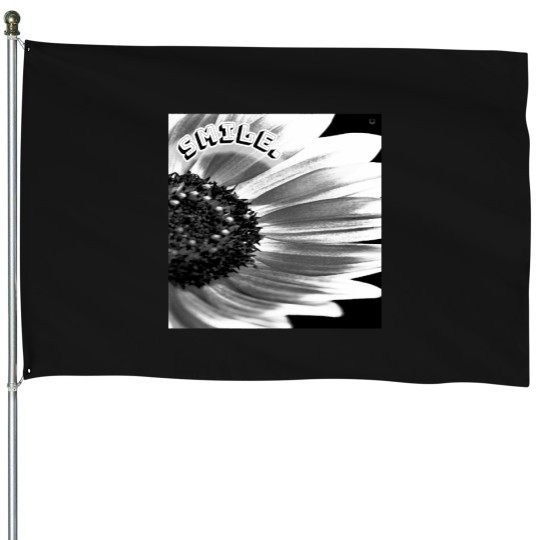 Discover Smile - Classic House Flags