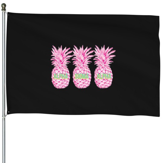 Discover v SEWERSLVT24 House Flags