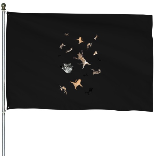 Discover Space Cats House Flags