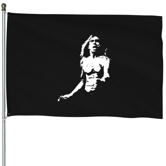 Discover Iggy Pop House Flags
