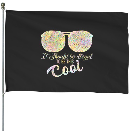 Discover it should be illegal to be this cool plus size House Flags