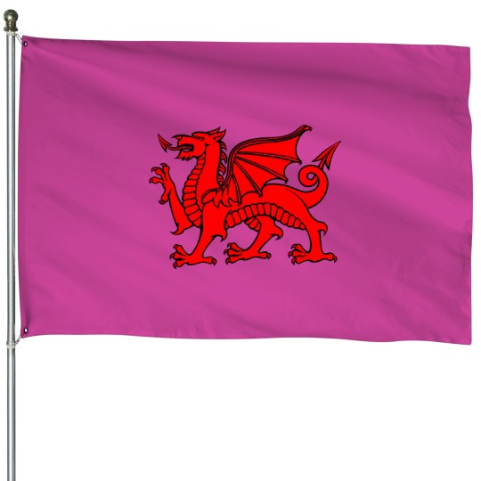 Discover Red Dragon House Flags