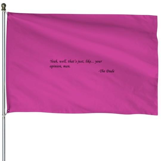 Discover The Dude  4 House Flags