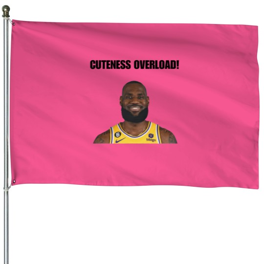 Discover My Glorious King LeBron James Cuteness Overload House Flags - Perfect for Basketball Fans