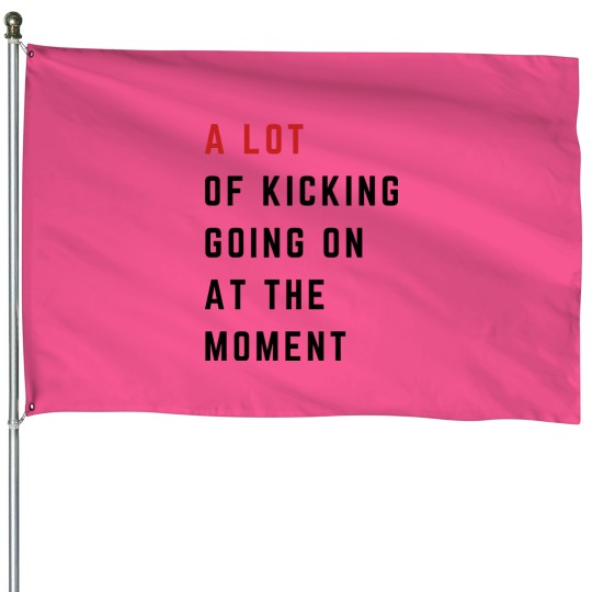 Discover Funny Maternity House Flag - A Lot Going On at the Moment