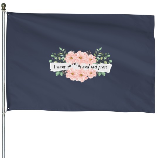 Discover Cardigan the lakes lyrics song House Flags