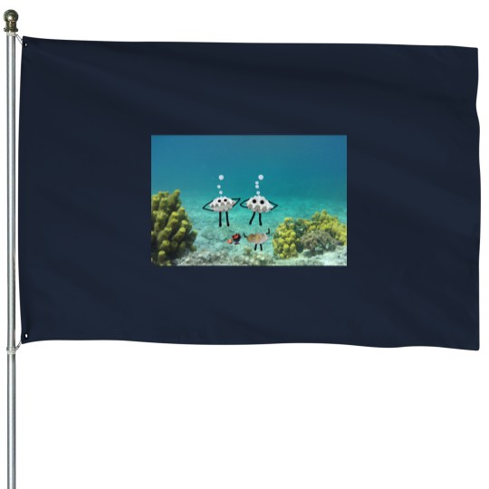 Discover Steamed clams -1 House Flags