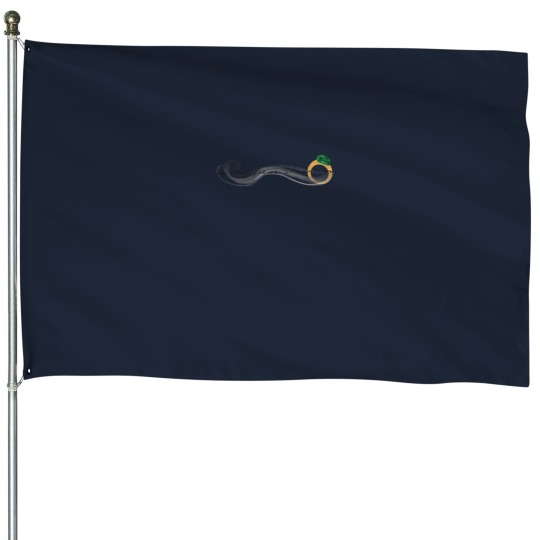 Discover it’ss yours now House Flags