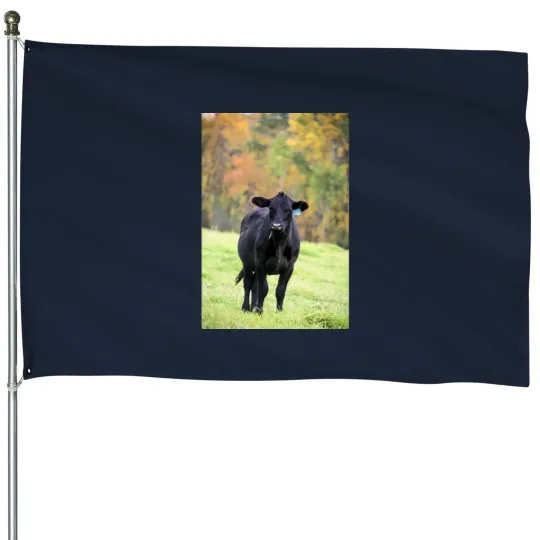Discover Minnesotas Blacks Angus Cow Hillbilly happy Long House Flags