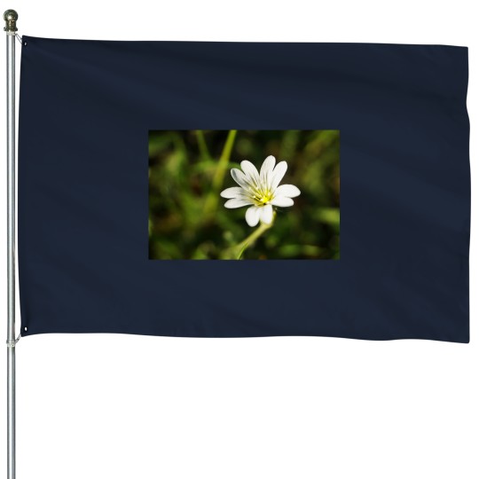 Discover White Flower - European chickweed Premium Scoop House Flags