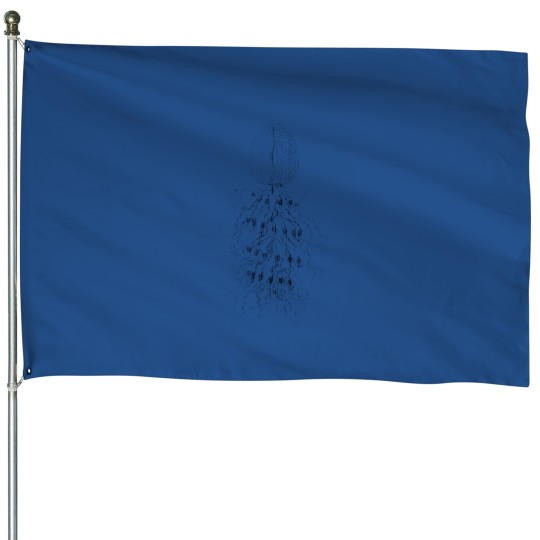 Discover Vint age Jellyfish House Flags