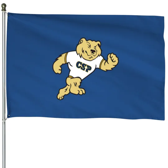 Discover Concordia University, St. Paul Golden Bears House Flags
