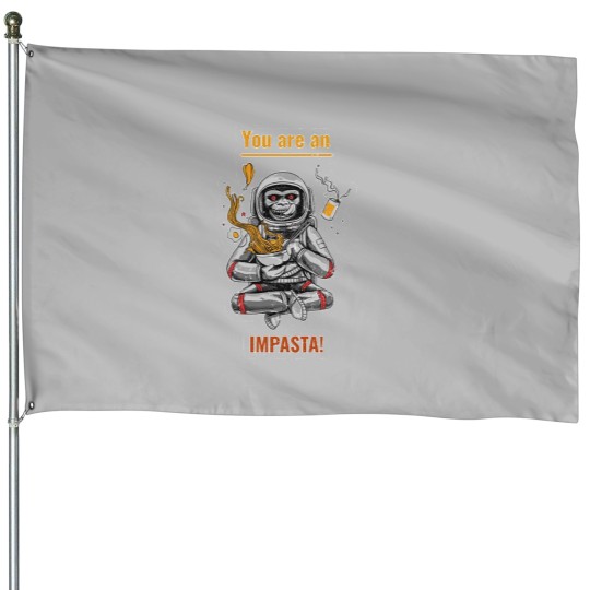 Discover you're an imposta House Flags