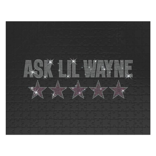 Discover Lil Wayne and Nicki Minaj Concert Jigsaw Puzzles