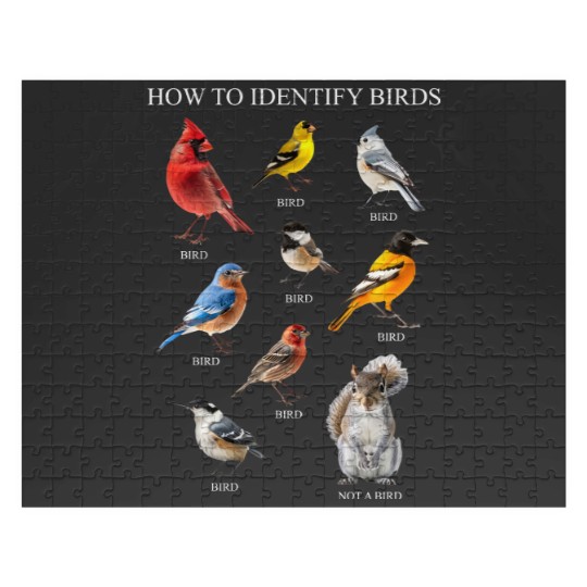 Discover Bird Jigsaw Puzzles, How to Identify Birds Jigsaw Puzzles