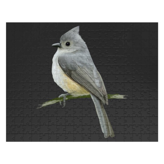 Discover cute bird Jigsaw Puzzles