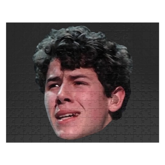 Discover Nick Jonas Jigsaw Puzzles