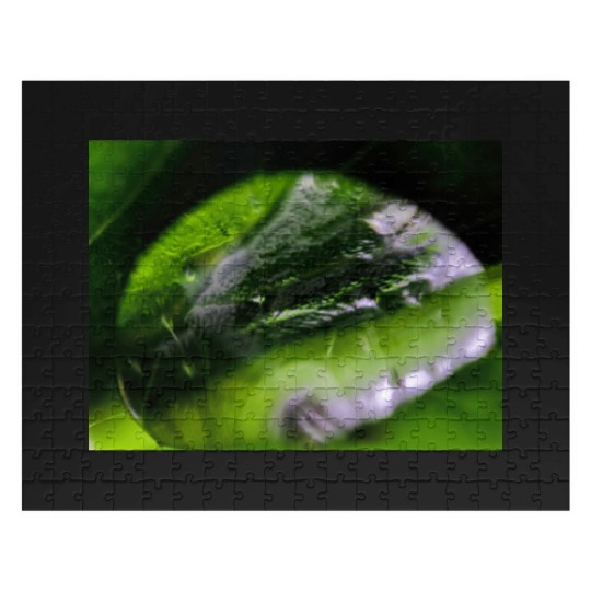 Discover Dew Drop Jigsaw Puzzles
