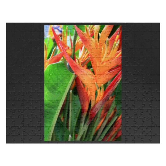 Discover Brilliant Tropical Heliconia Florals Jigsaw Puzzles