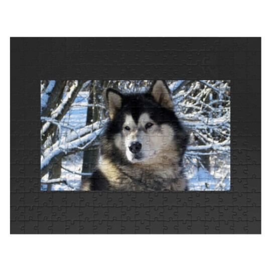 Discover Loup's first snowfall 2012 Jigsaw Puzzles