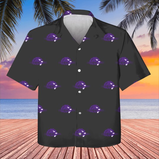Discover College of Bluffton Beavers Athletic Kids Hawaiians