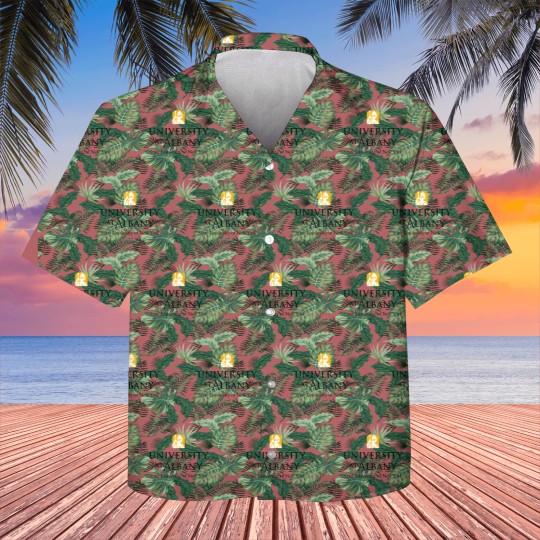 Discover University at Albany of american university Kids Hawaiians