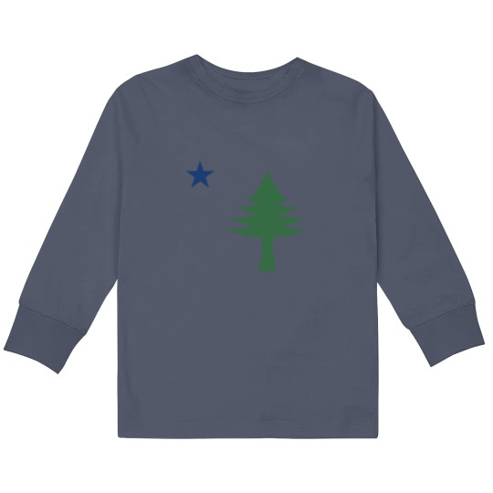 Discover Maine 1901 Original Tree and Star Flag Active Kids Long Sleeve T Shirts