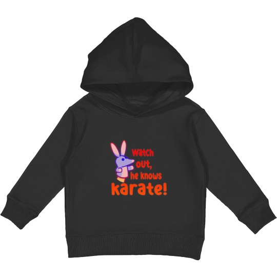 Discover Watch out,he knows karate Kids Pullover Hoodies