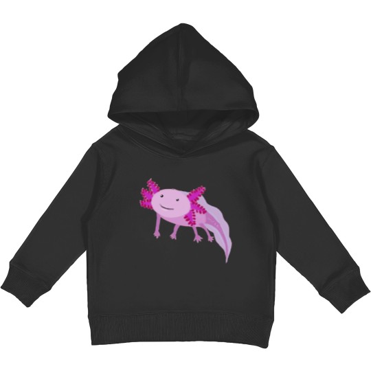 Discover Little Kids Pullover Hoodies