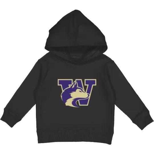 Discover University of Washington Huskies logo Kids Pullover Hoodies