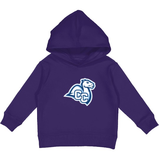 Discover Connecticut College camel athletics gifts souvenirs Kids Pullover Hoodies