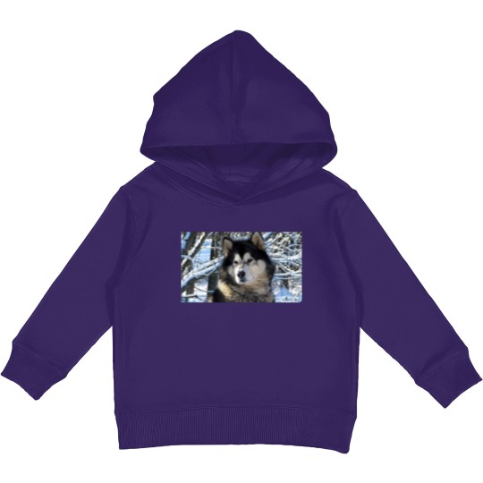 Discover Loup's first snowfall 2012 Kids Pullover Hoodies