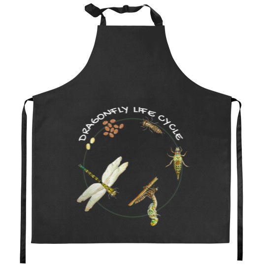 Discover Dragonfly Life Cycle Facts 3 Stages Insect Development Kitchen Aprons